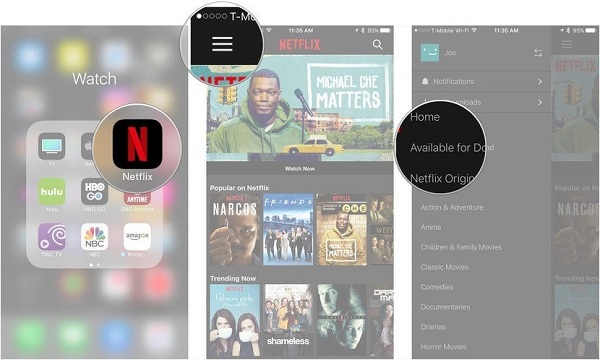 download netflix videos to iPhone