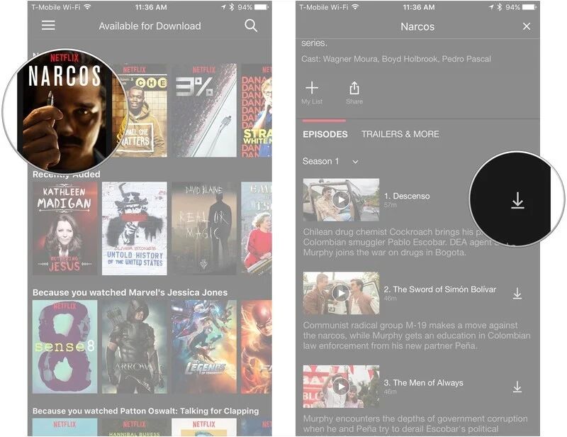 download netflix on phone to watch offline
