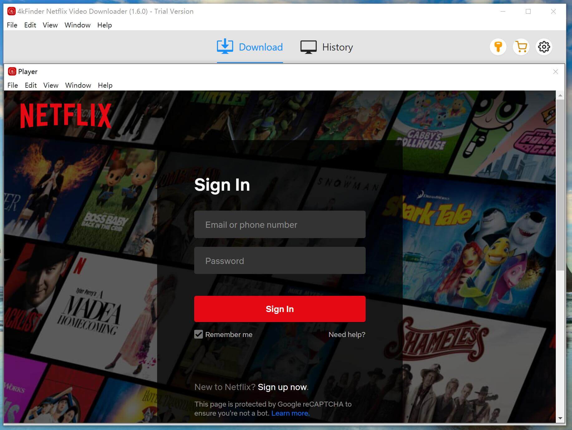 log into your Netflix account