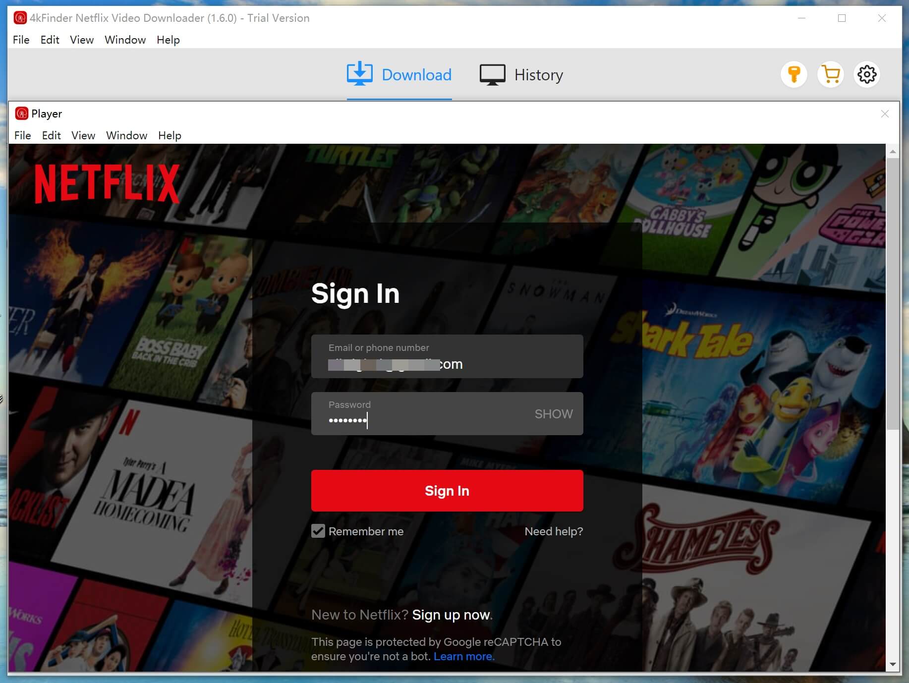 run Netflix Video Downloader
