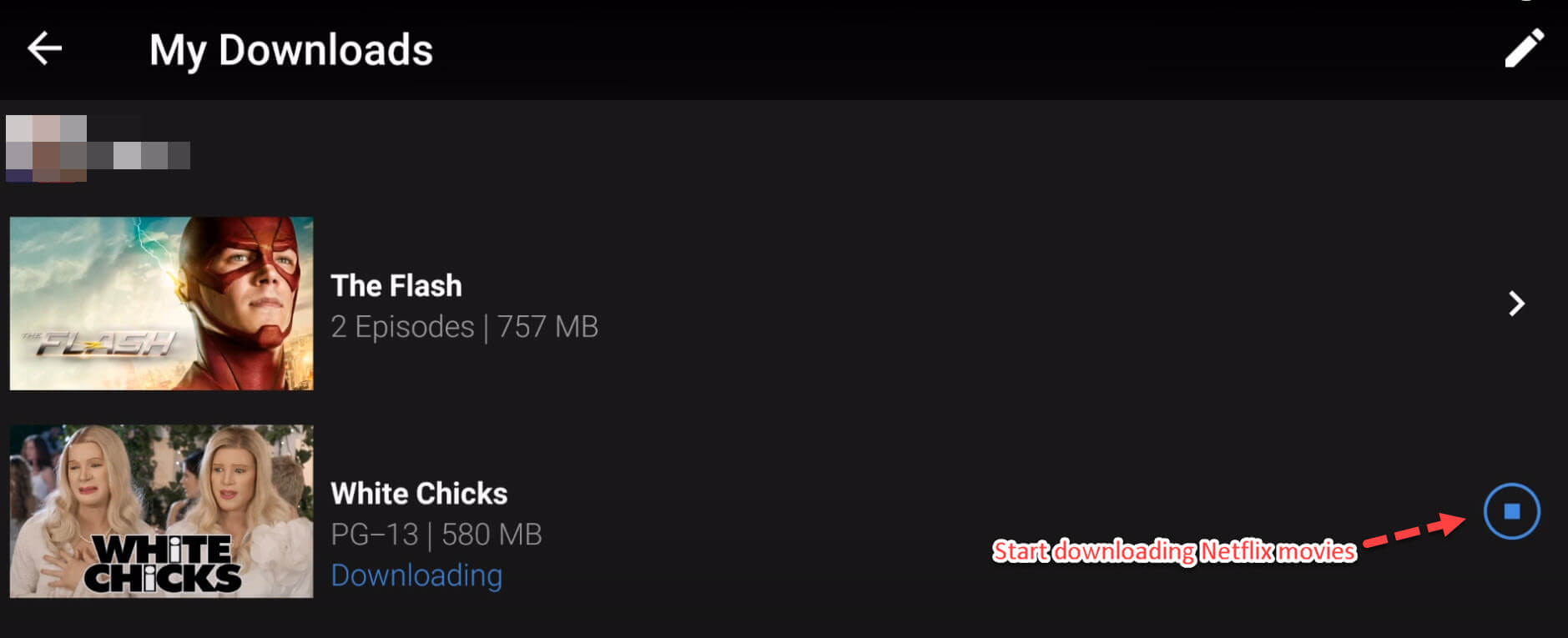 start download Netflix videos