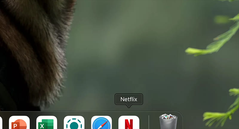 use Netflix web app on Mac